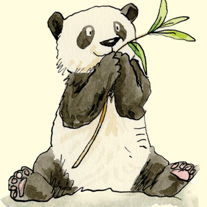 Gift for Panda Lovers
